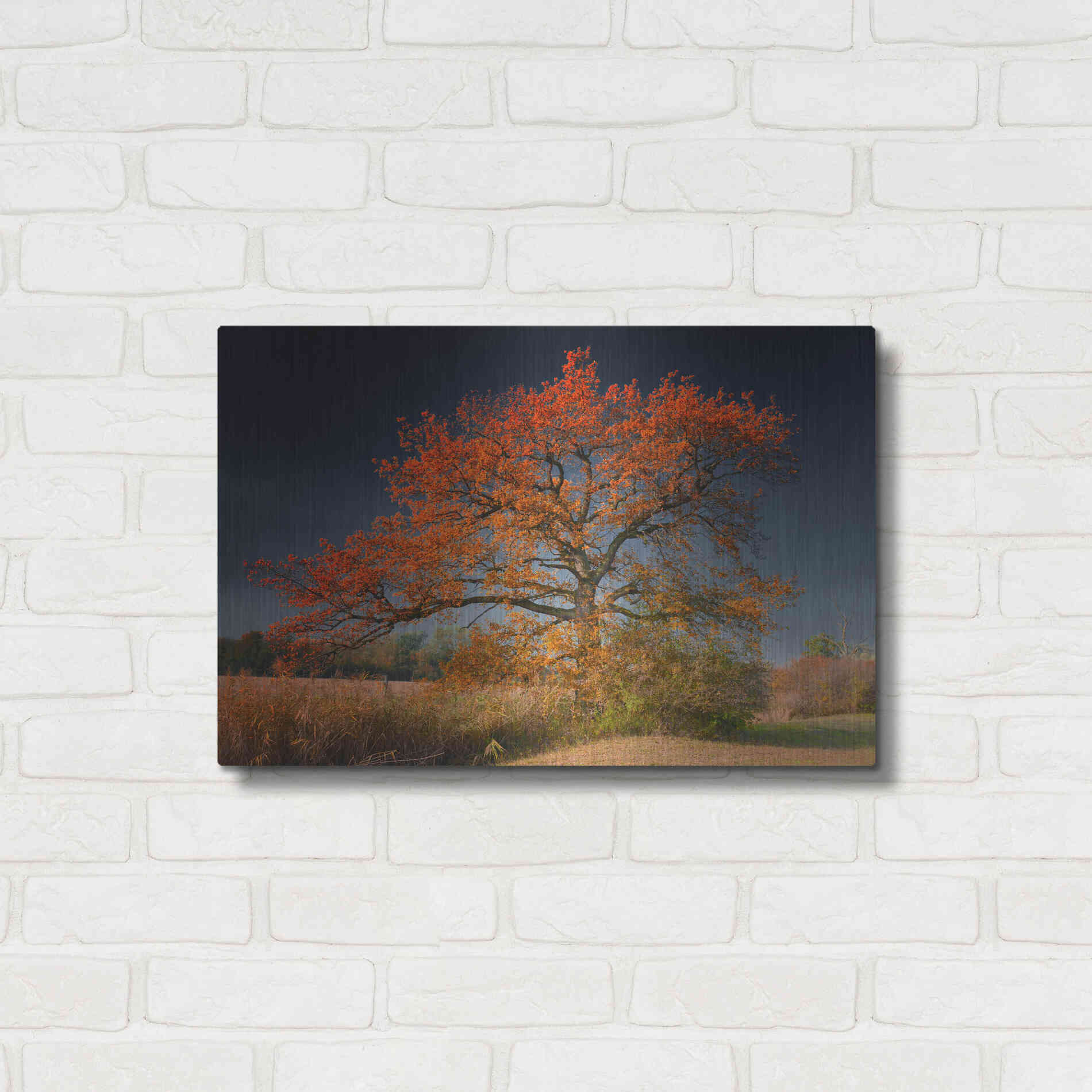 Luxe Metal Art 'Melancholy Tree' by Philippe Sainte-Laudy, Metal Wall Art,24x16
