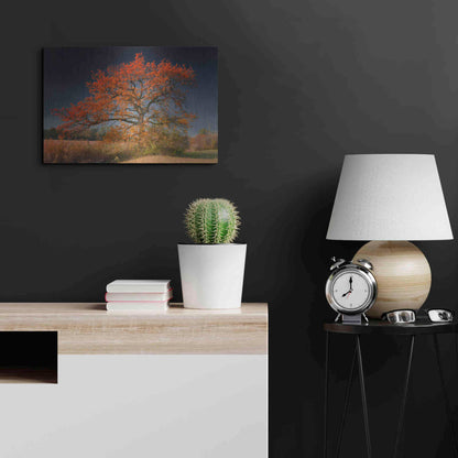 Luxe Metal Art 'Melancholy Tree' by Philippe Sainte-Laudy, Metal Wall Art,24x16