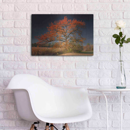 Luxe Metal Art 'Melancholy Tree' by Philippe Sainte-Laudy, Metal Wall Art,24x16