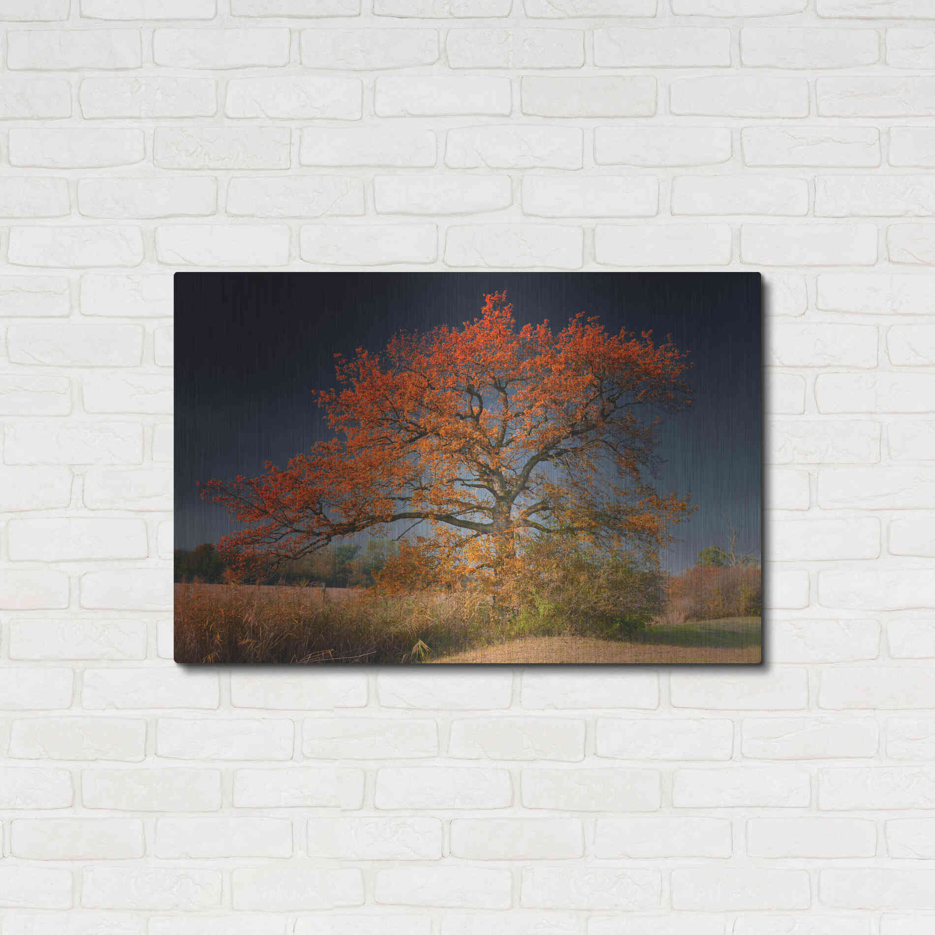 Luxe Metal Art 'Melancholy Tree' by Philippe Sainte-Laudy, Metal Wall Art,36x24