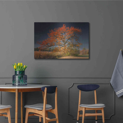 Luxe Metal Art 'Melancholy Tree' by Philippe Sainte-Laudy, Metal Wall Art,36x24