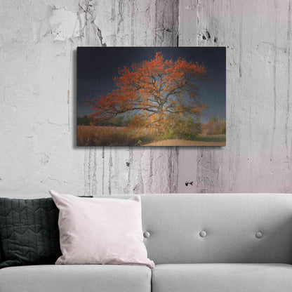 Luxe Metal Art 'Melancholy Tree' by Philippe Sainte-Laudy, Metal Wall Art,36x24