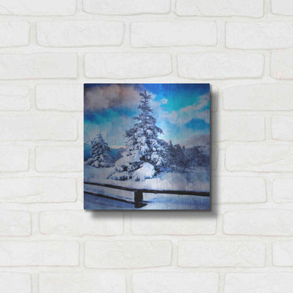 Luxe Metal Art 'My Beautiful Fir Tree' by Philippe Sainte-Laudy, Metal Wall Art,12x12