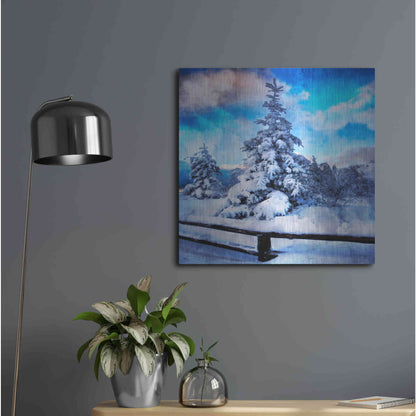 Luxe Metal Art 'My Beautiful Fir Tree' by Philippe Sainte-Laudy, Metal Wall Art,24x24