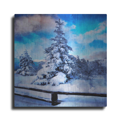 Luxe Metal Art 'My Beautiful Fir Tree' by Philippe Sainte-Laudy, Metal Wall Art
