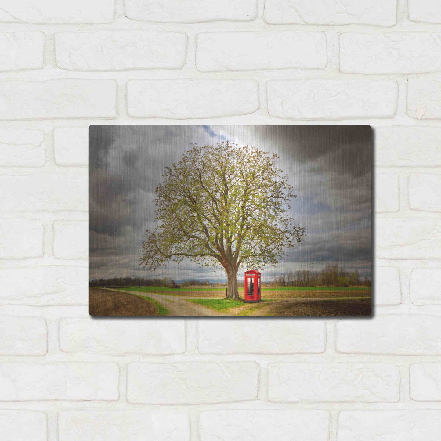 Luxe Metal Art 'Never Alone' by Philippe Sainte-Laudy, Metal Wall Art,16x12