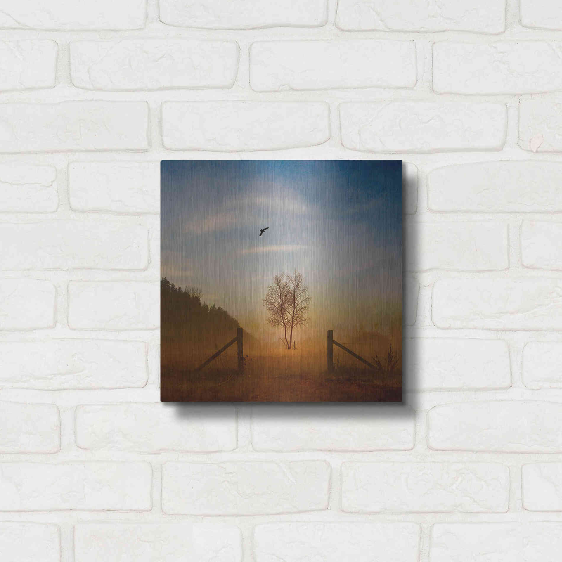 Luxe Metal Art 'Open Space' by Philippe Sainte-Laudy, Metal Wall Art,12x12