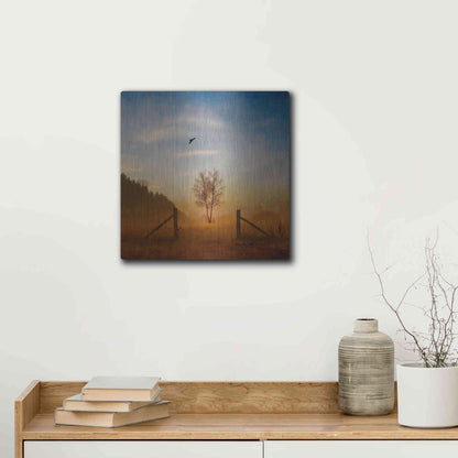 Luxe Metal Art 'Open Space' by Philippe Sainte-Laudy, Metal Wall Art,12x12