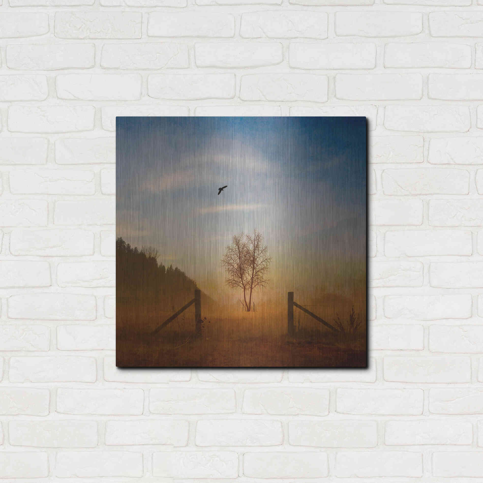 Luxe Metal Art 'Open Space' by Philippe Sainte-Laudy, Metal Wall Art,24x24