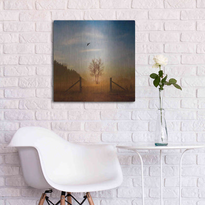 Luxe Metal Art 'Open Space' by Philippe Sainte-Laudy, Metal Wall Art,24x24