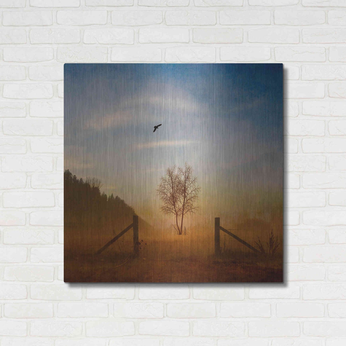 Luxe Metal Art 'Open Space' by Philippe Sainte-Laudy, Metal Wall Art,36x36