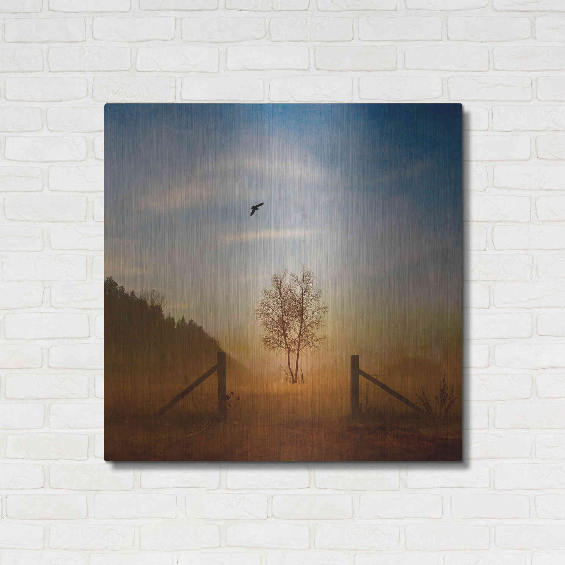 Luxe Metal Art 'Open Space' by Philippe Sainte-Laudy, Metal Wall Art,36x36