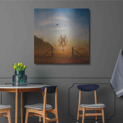 Luxe Metal Art 'Open Space' by Philippe Sainte-Laudy, Metal Wall Art,36x36