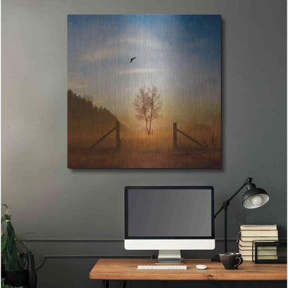 Luxe Metal Art 'Open Space' by Philippe Sainte-Laudy, Metal Wall Art,36x36