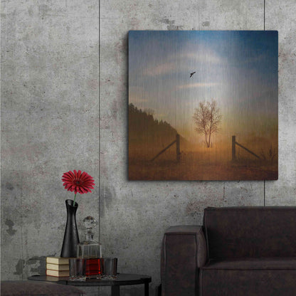 Luxe Metal Art 'Open Space' by Philippe Sainte-Laudy, Metal Wall Art,36x36