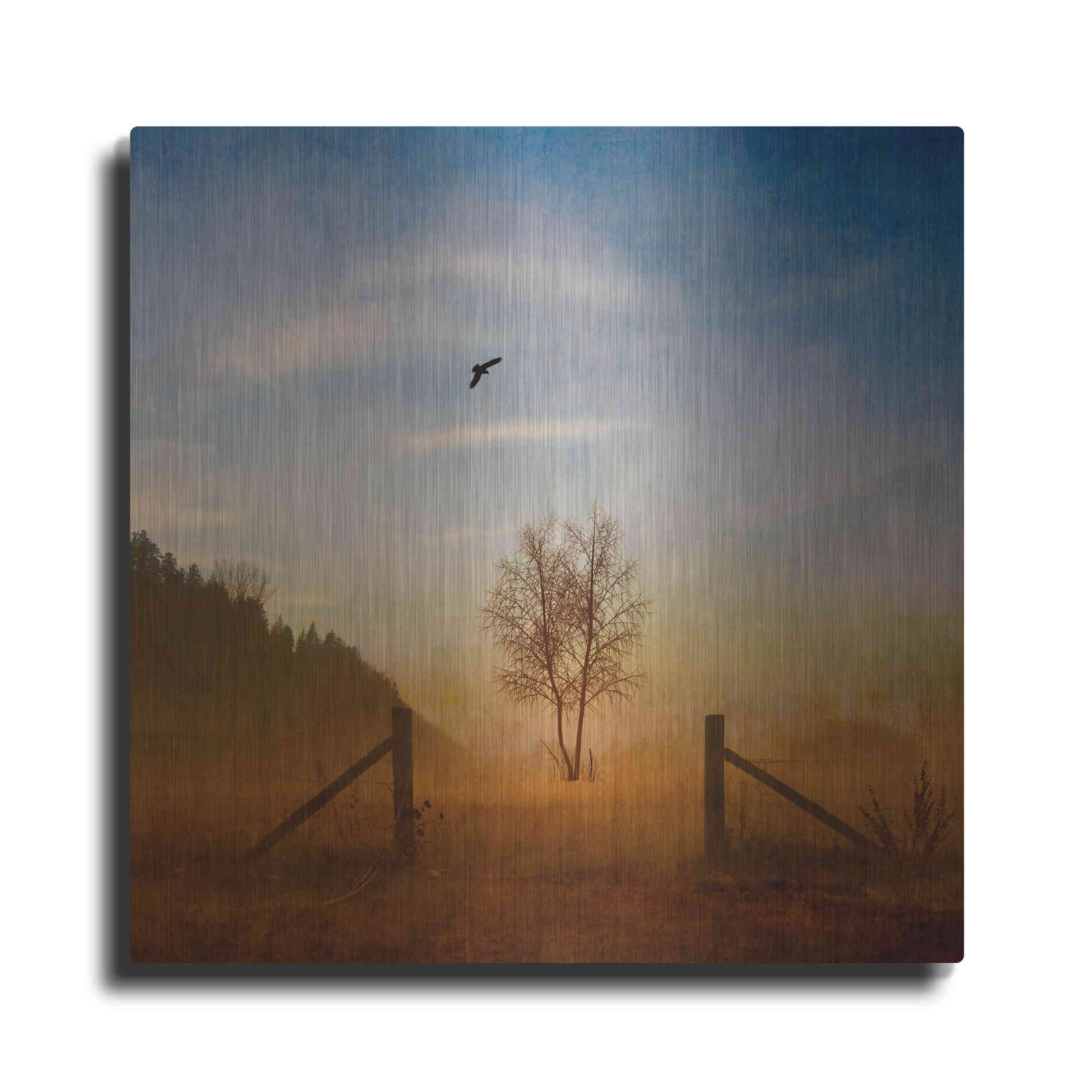 Luxe Metal Art 'Open Space' by Philippe Sainte-Laudy, Metal Wall Art