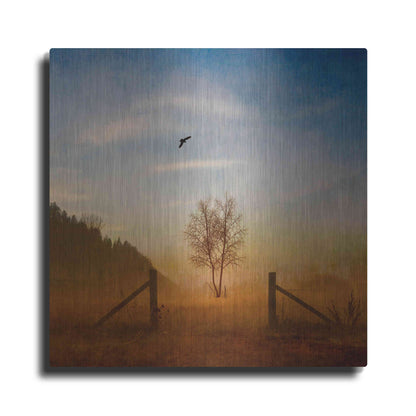 Luxe Metal Art 'Open Space' by Philippe Sainte-Laudy, Metal Wall Art