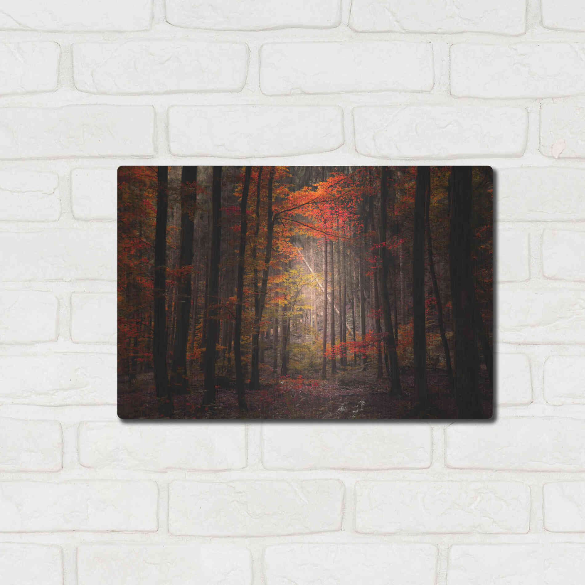 Luxe Metal Art 'Orton Wood' by Philippe Sainte-Laudy, Metal Wall Art,16x12