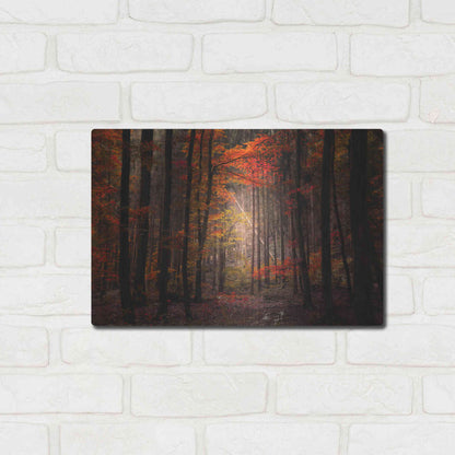 Luxe Metal Art 'Orton Wood' by Philippe Sainte-Laudy, Metal Wall Art,16x12