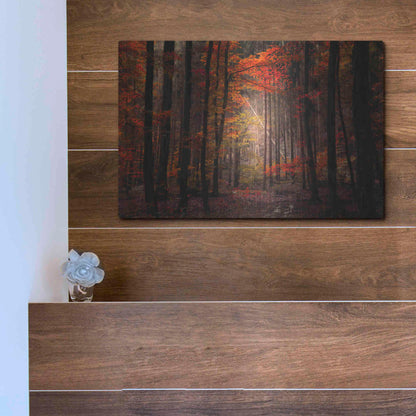 Luxe Metal Art 'Orton Wood' by Philippe Sainte-Laudy, Metal Wall Art,16x12