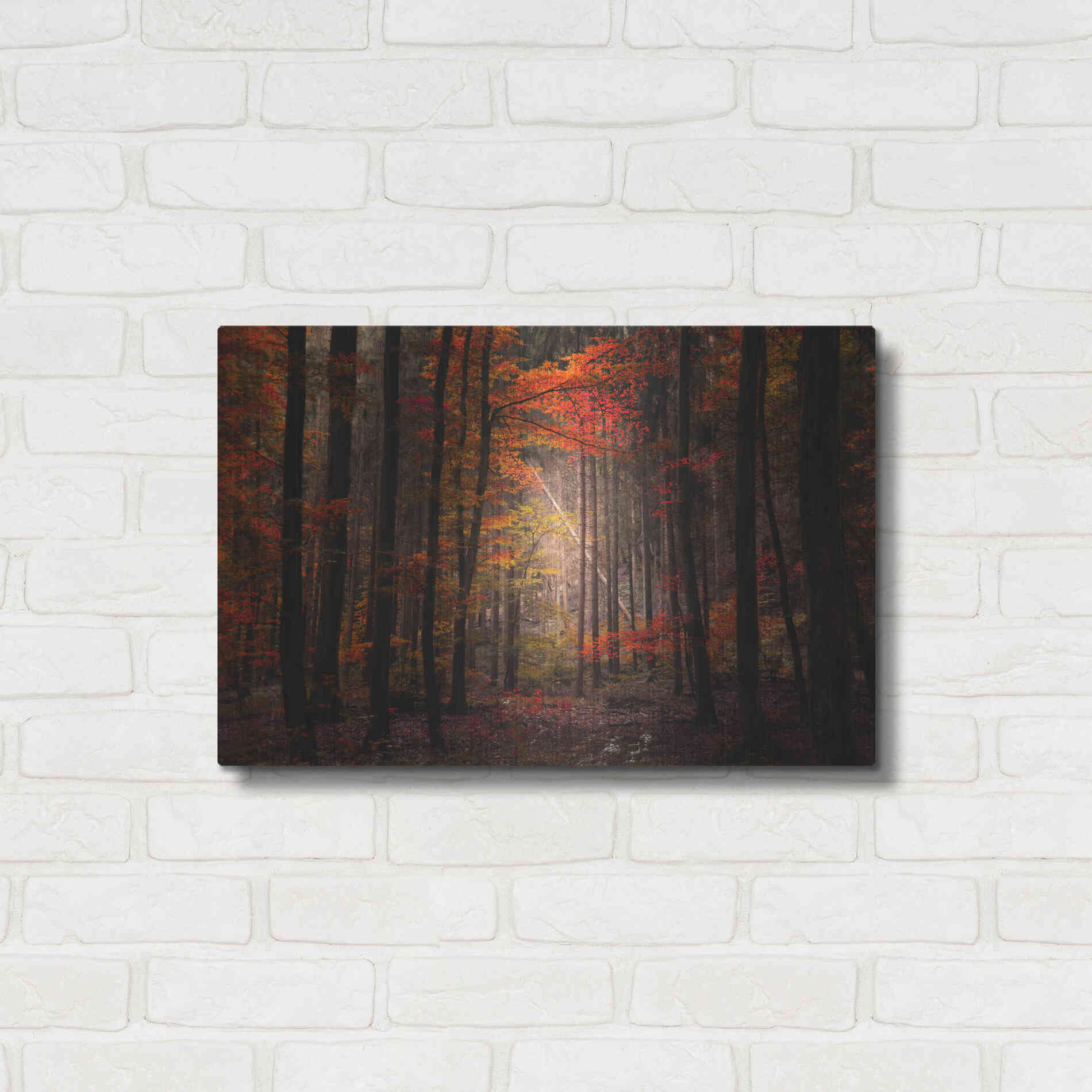 Luxe Metal Art 'Orton Wood' by Philippe Sainte-Laudy, Metal Wall Art,24x16