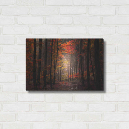 Luxe Metal Art 'Orton Wood' by Philippe Sainte-Laudy, Metal Wall Art,24x16