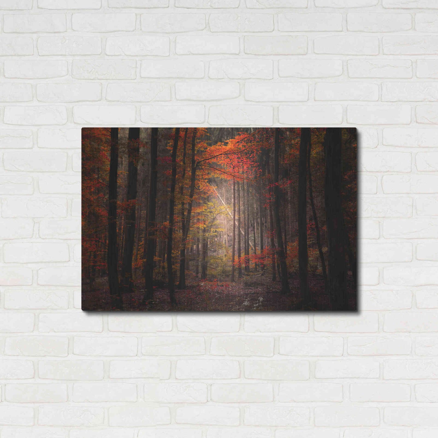 Luxe Metal Art 'Orton Wood' by Philippe Sainte-Laudy, Metal Wall Art,36x24