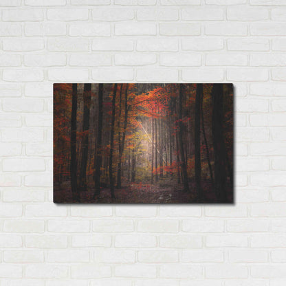 Luxe Metal Art 'Orton Wood' by Philippe Sainte-Laudy, Metal Wall Art,36x24