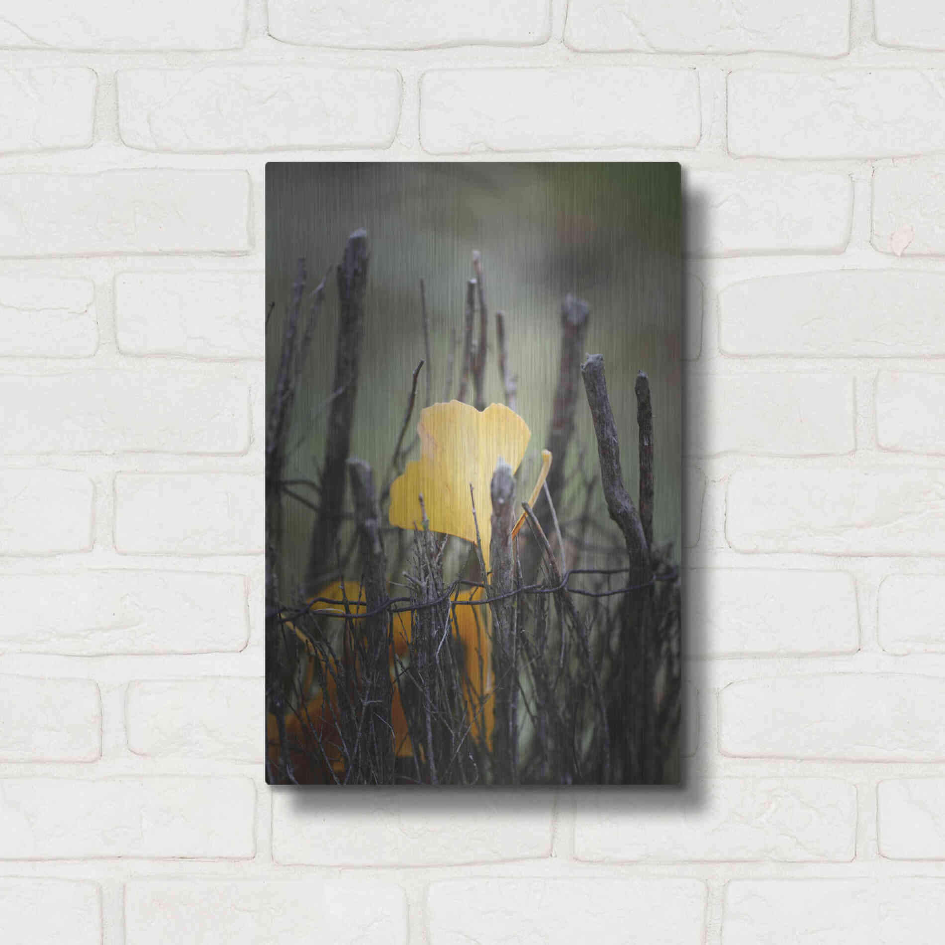 Luxe Metal Art 'Prisoner Fall' by Philippe Sainte-Laudy, Metal Wall Art,12x16