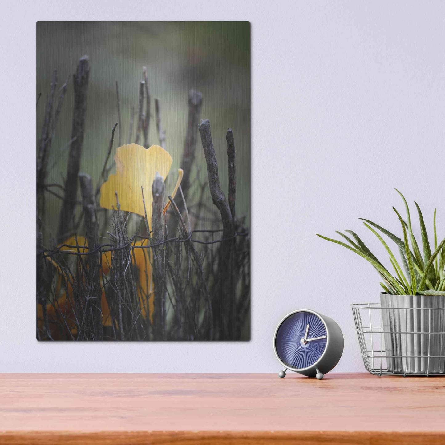 Luxe Metal Art 'Prisoner Fall' by Philippe Sainte-Laudy, Metal Wall Art,12x16