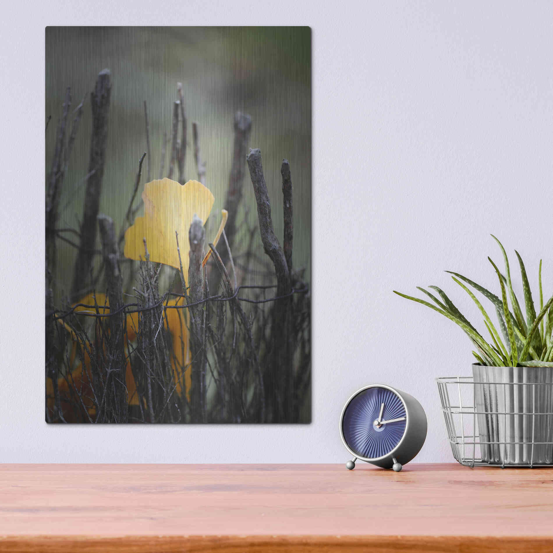 Luxe Metal Art 'Prisoner Fall' by Philippe Sainte-Laudy, Metal Wall Art,12x16