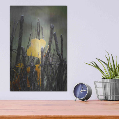 Luxe Metal Art 'Prisoner Fall' by Philippe Sainte-Laudy, Metal Wall Art,12x16