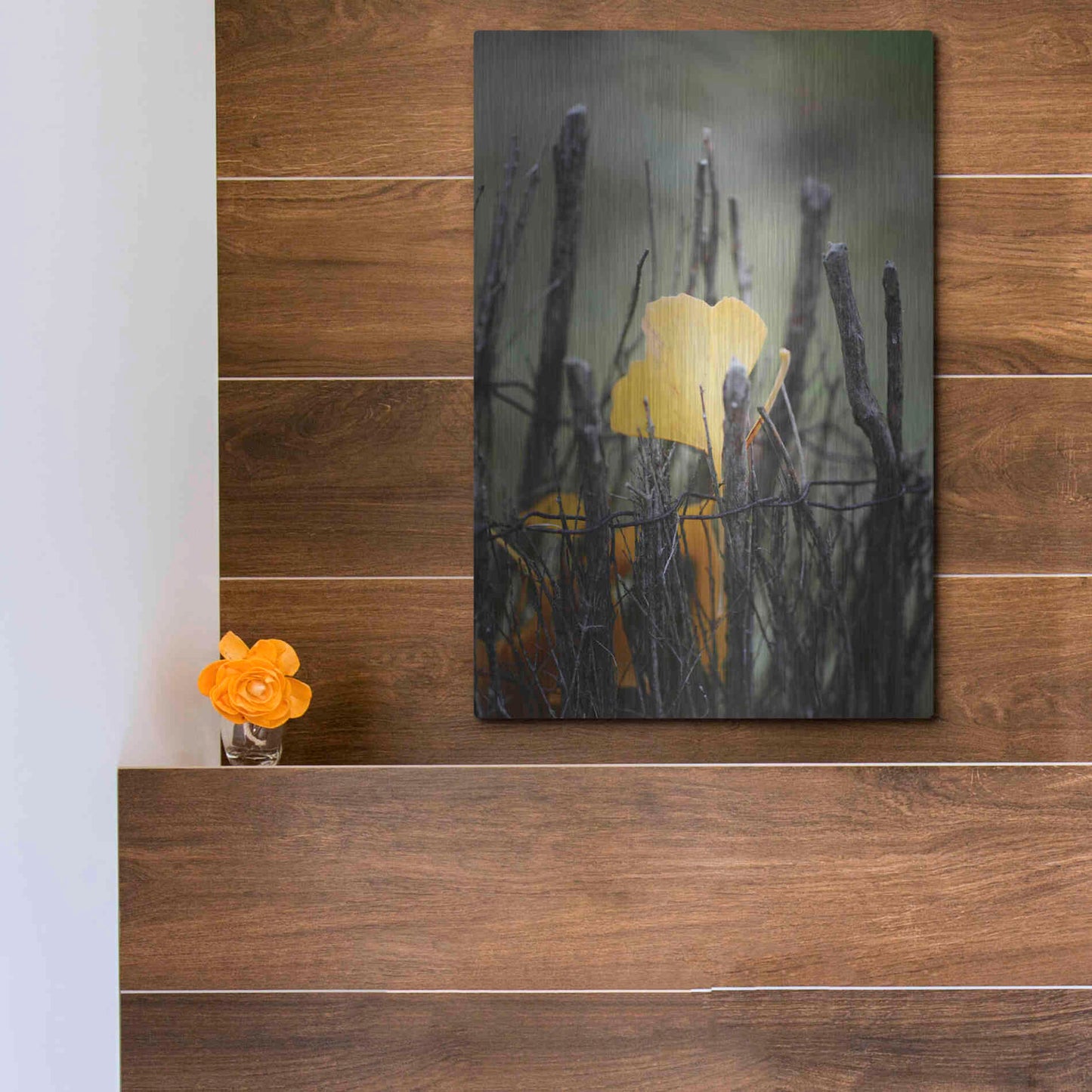 Luxe Metal Art 'Prisoner Fall' by Philippe Sainte-Laudy, Metal Wall Art,12x16
