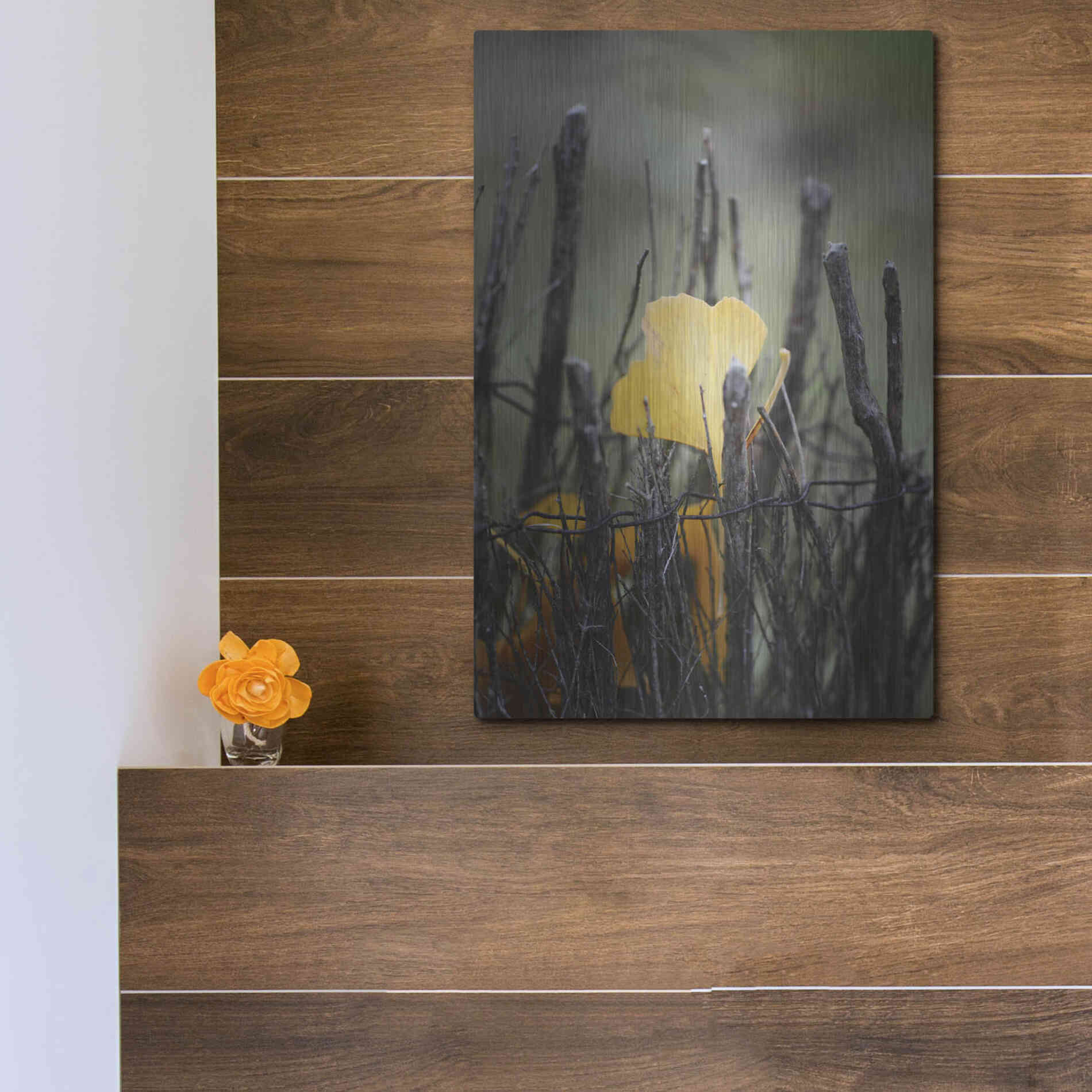 Luxe Metal Art 'Prisoner Fall' by Philippe Sainte-Laudy, Metal Wall Art,12x16