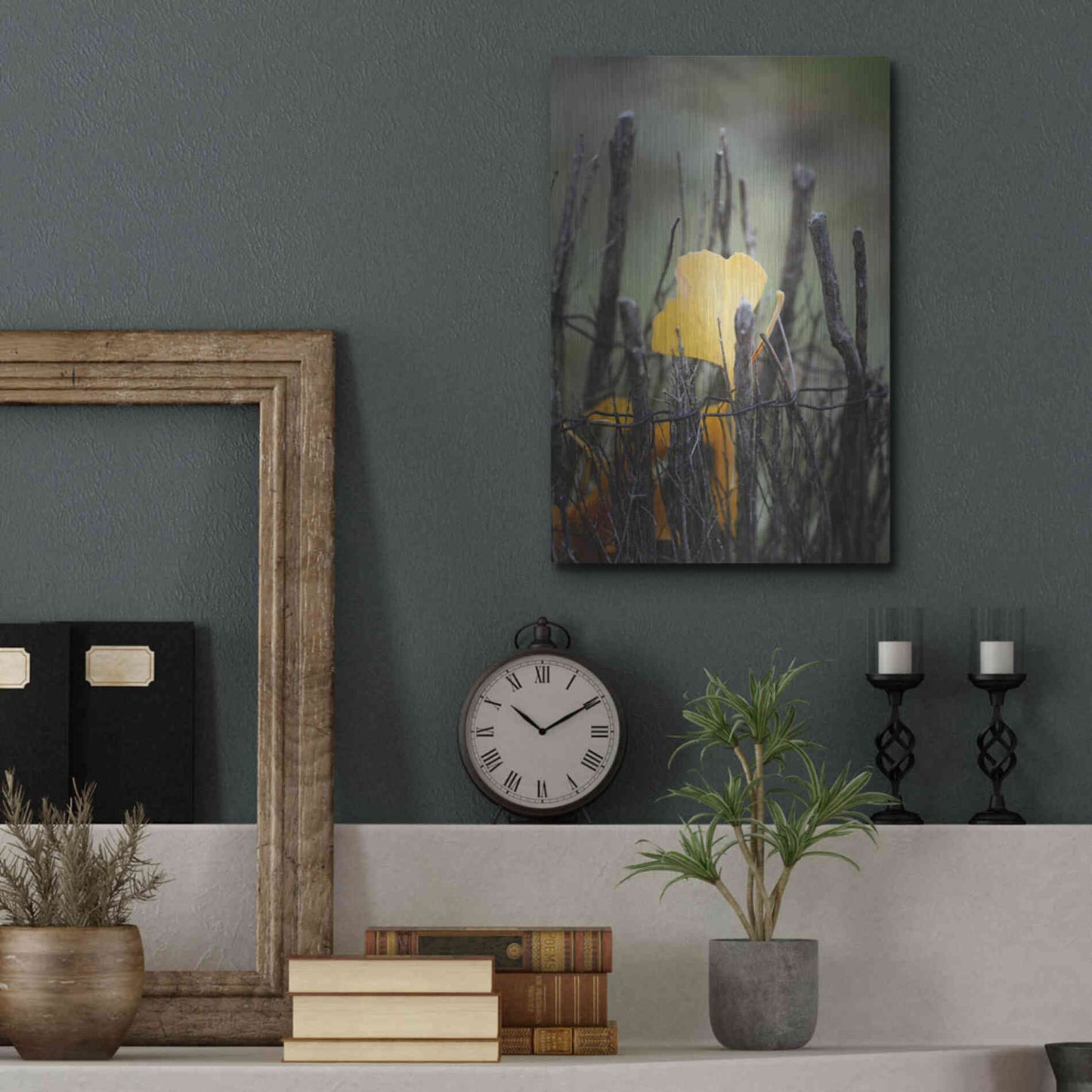 Luxe Metal Art 'Prisoner Fall' by Philippe Sainte-Laudy, Metal Wall Art,12x16