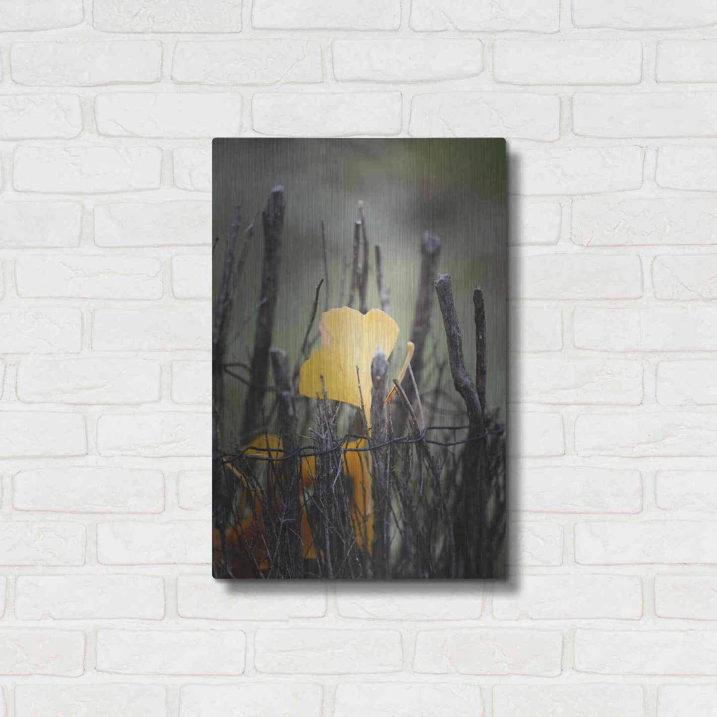 Luxe Metal Art 'Prisoner Fall' by Philippe Sainte-Laudy, Metal Wall Art,16x24