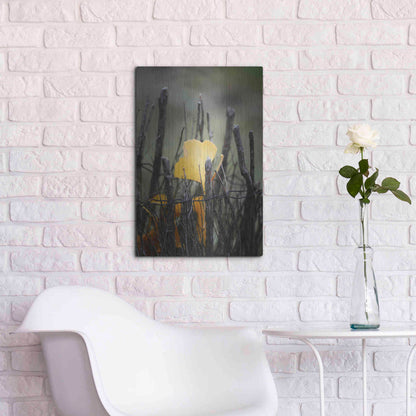 Luxe Metal Art 'Prisoner Fall' by Philippe Sainte-Laudy, Metal Wall Art,16x24