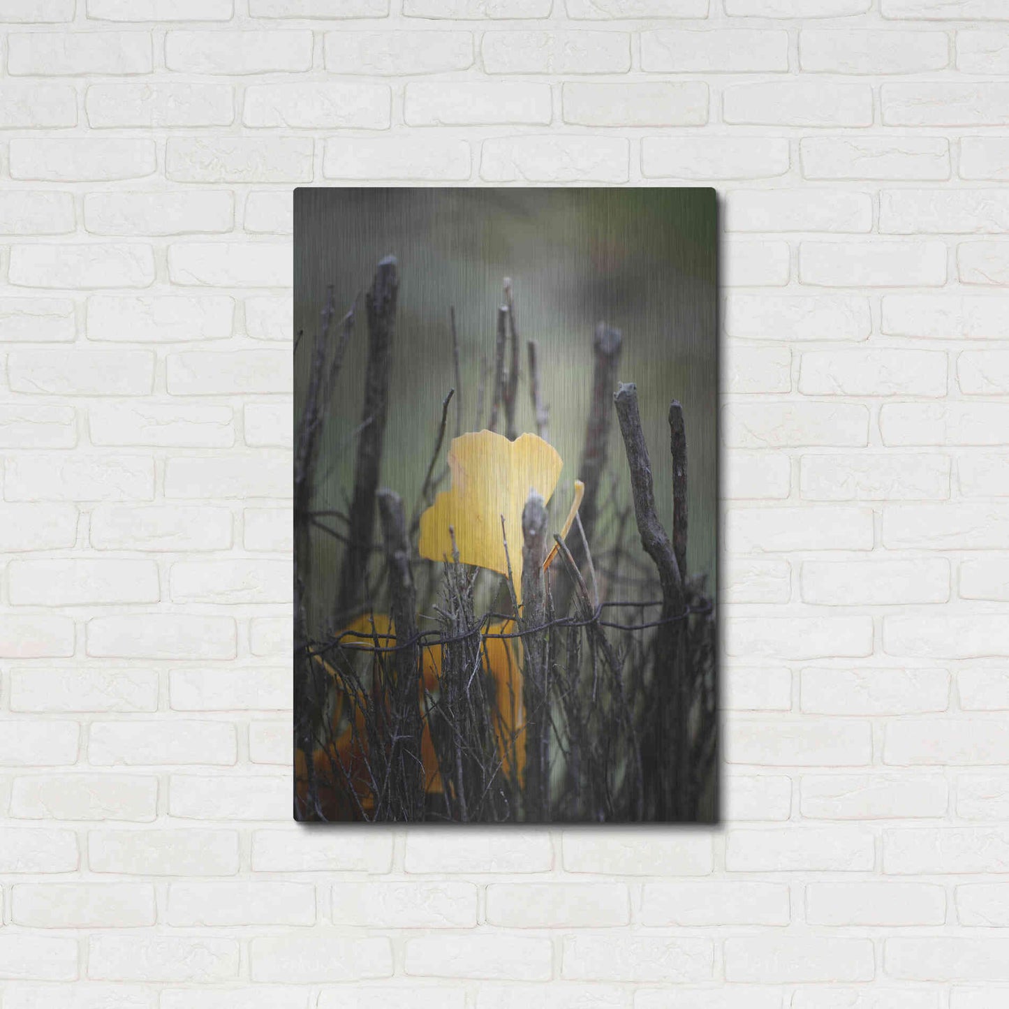 Luxe Metal Art 'Prisoner Fall' by Philippe Sainte-Laudy, Metal Wall Art,24x36
