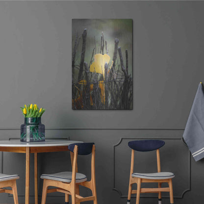 Luxe Metal Art 'Prisoner Fall' by Philippe Sainte-Laudy, Metal Wall Art,24x36