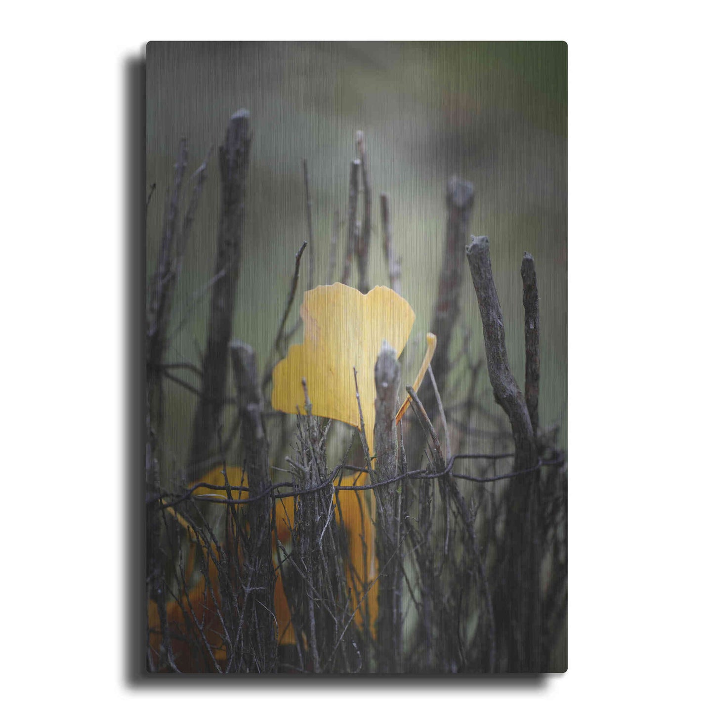 Luxe Metal Art 'Prisoner Fall' by Philippe Sainte-Laudy, Metal Wall Art