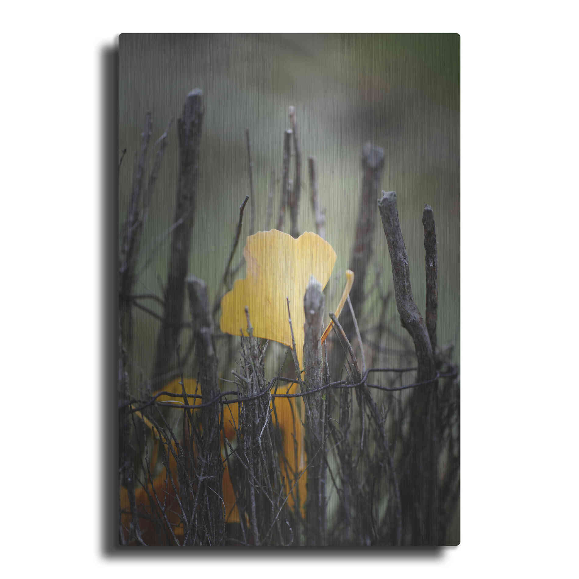 Luxe Metal Art 'Prisoner Fall' by Philippe Sainte-Laudy, Metal Wall Art