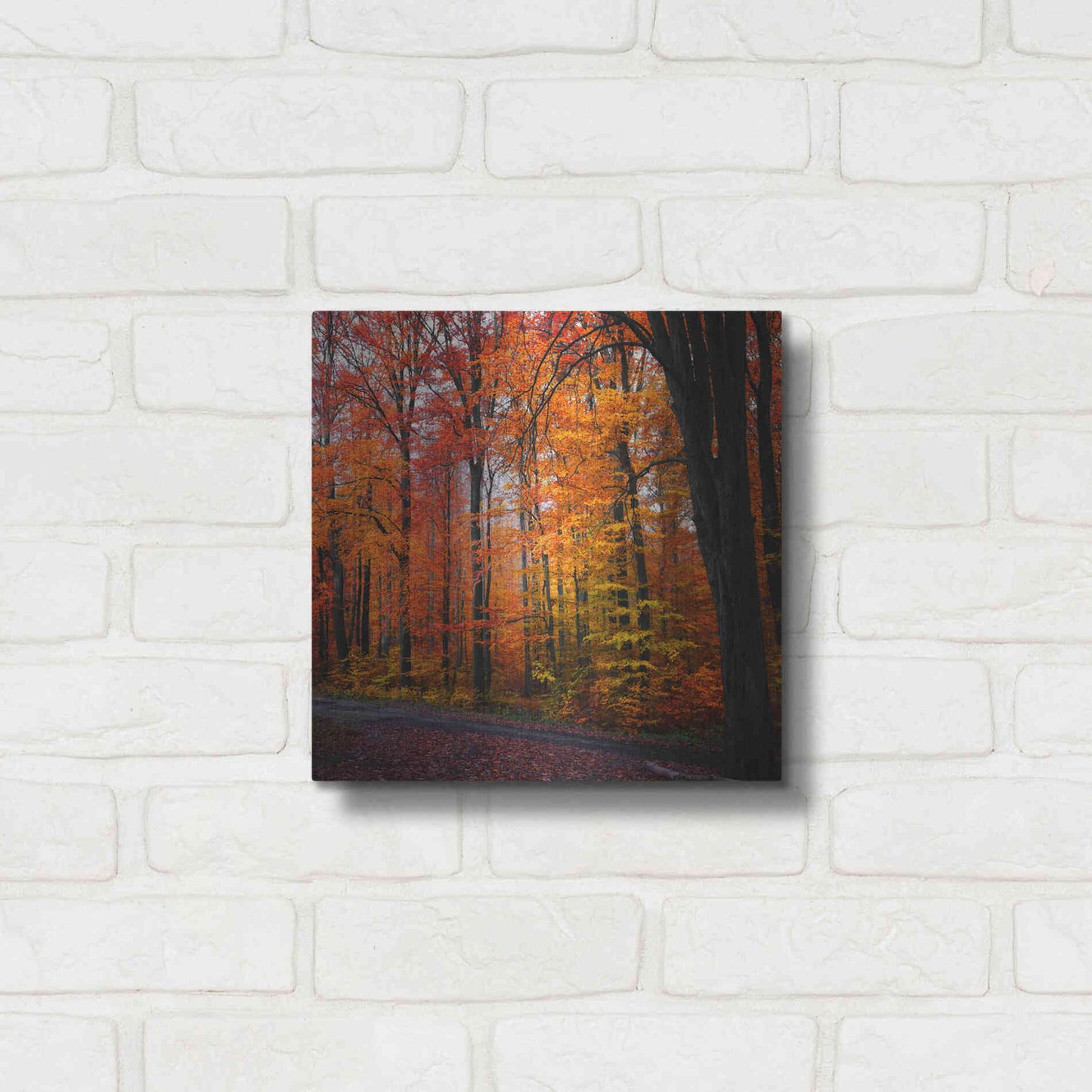 Luxe Metal Art 'Rainbow Fall' by Philippe Sainte-Laudy, Metal Wall Art,12x12