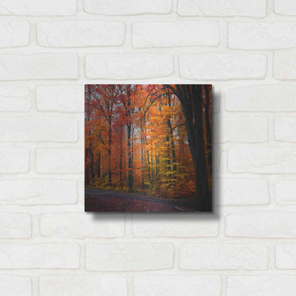 Luxe Metal Art 'Rainbow Fall' by Philippe Sainte-Laudy, Metal Wall Art,12x12