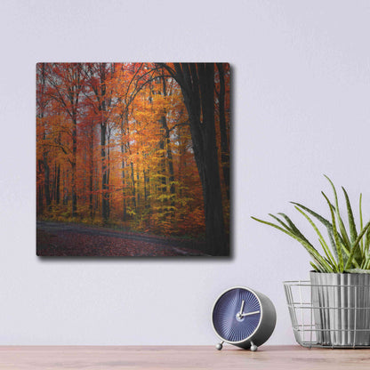 Luxe Metal Art 'Rainbow Fall' by Philippe Sainte-Laudy, Metal Wall Art,12x12