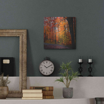 Luxe Metal Art 'Rainbow Fall' by Philippe Sainte-Laudy, Metal Wall Art,12x12