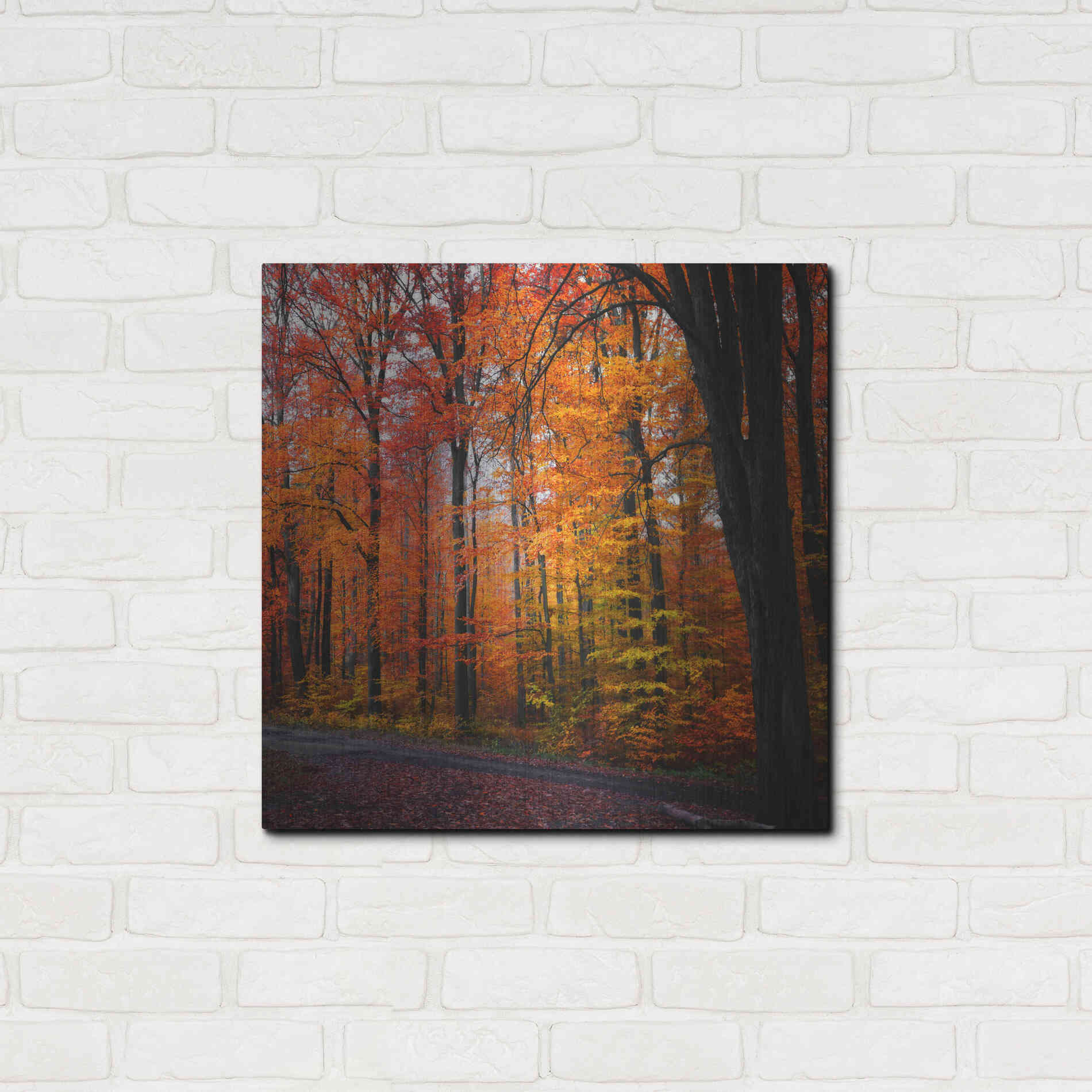 Luxe Metal Art 'Rainbow Fall' by Philippe Sainte-Laudy, Metal Wall Art,24x24