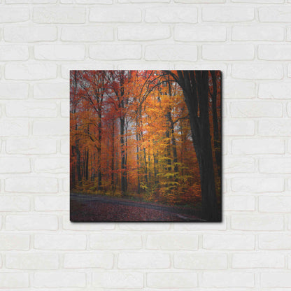 Luxe Metal Art 'Rainbow Fall' by Philippe Sainte-Laudy, Metal Wall Art,24x24