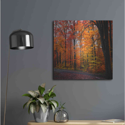 Luxe Metal Art 'Rainbow Fall' by Philippe Sainte-Laudy, Metal Wall Art,24x24