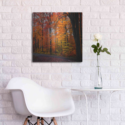 Luxe Metal Art 'Rainbow Fall' by Philippe Sainte-Laudy, Metal Wall Art,24x24