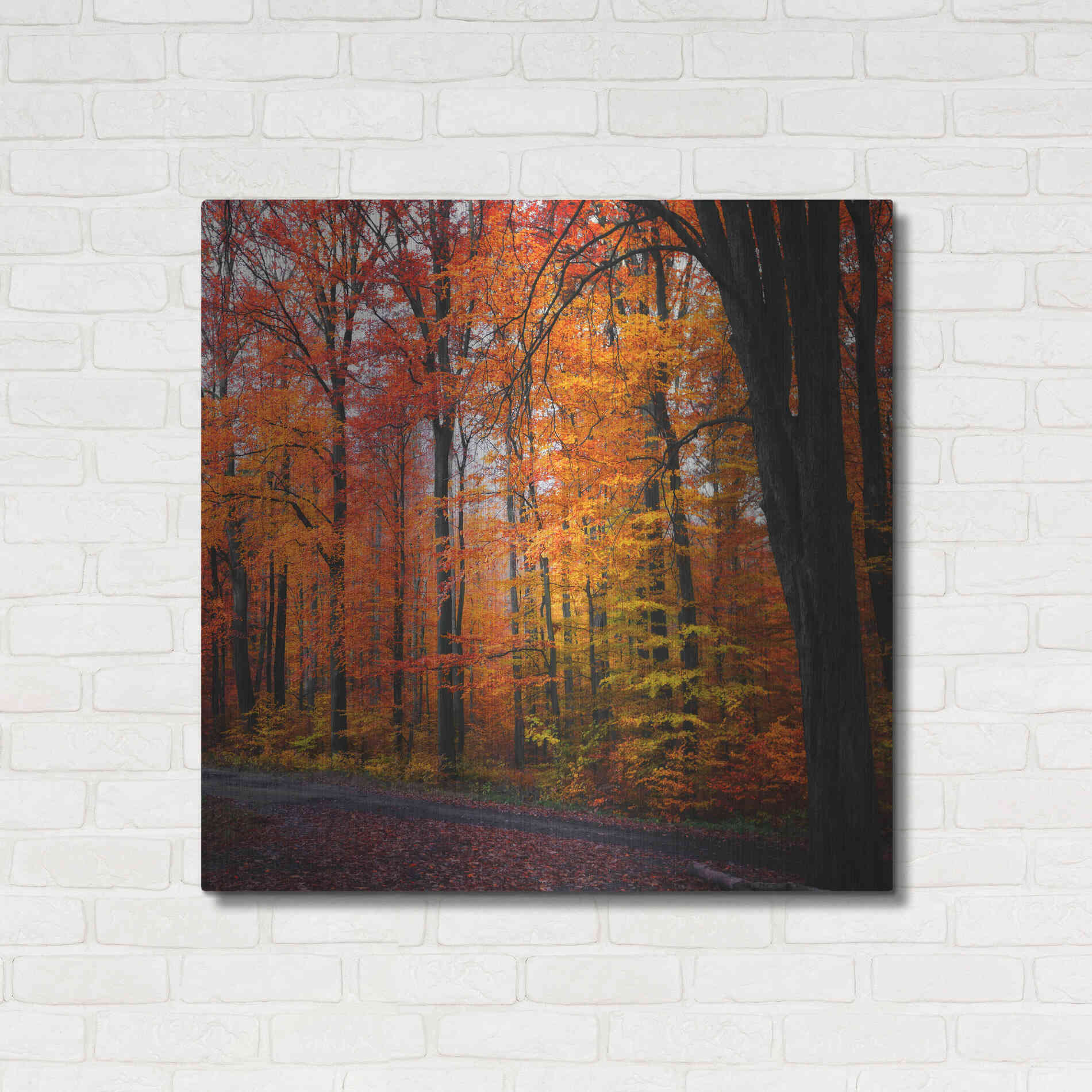 Luxe Metal Art 'Rainbow Fall' by Philippe Sainte-Laudy, Metal Wall Art,36x36